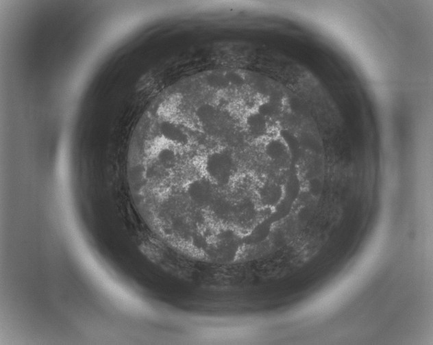 X0000072530765200608111746