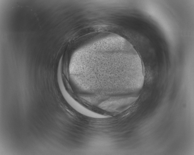 X0000072530766200608111746