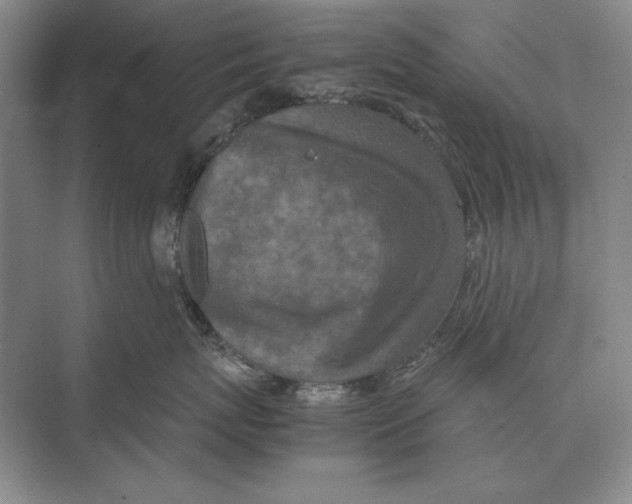 X0000072530767200608111746