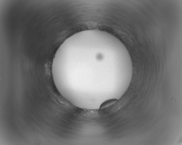 X0000072530768200608111746