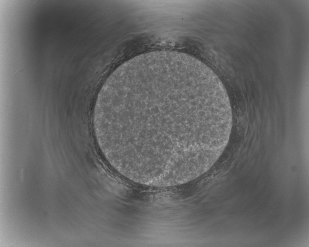 X0000072530769200608111745