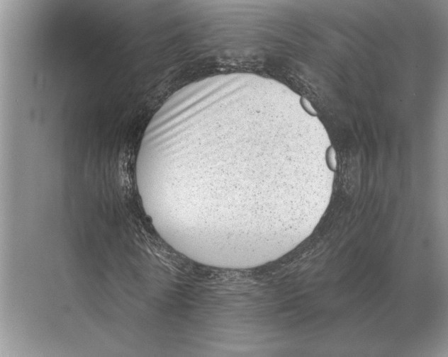 X0000072530770200608111745