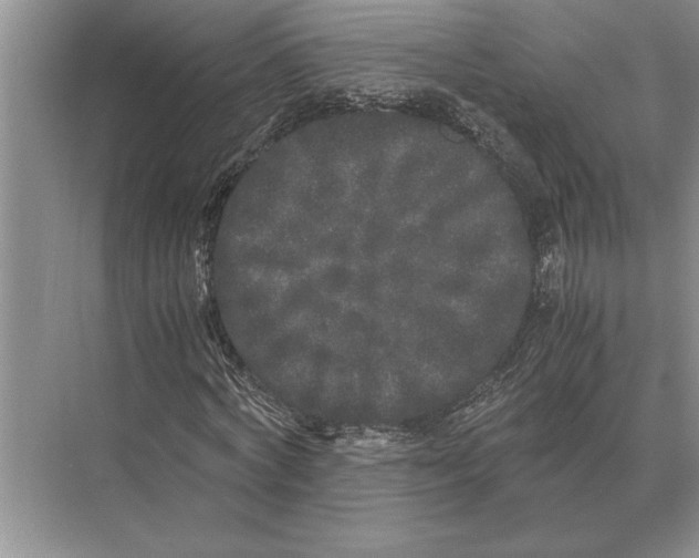 X0000072530772200608111745