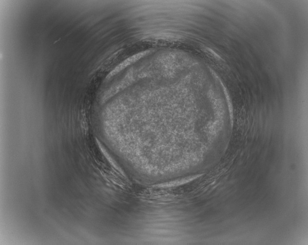 X0000072530774200608111745