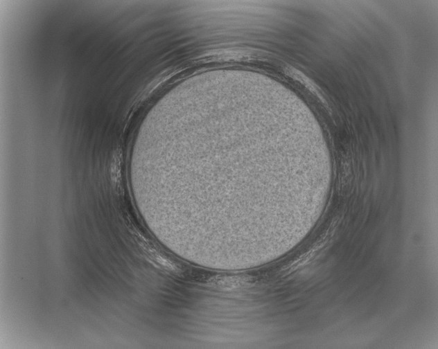 X0000072530778200608111745