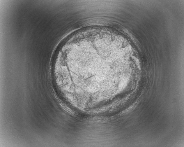 X0000072530779200608111745