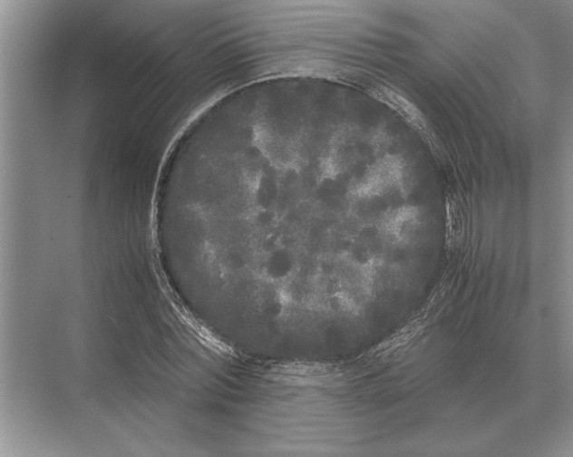 X0000072530780200608111745