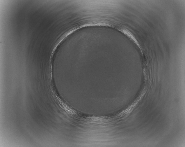 X0000072530781200608111745