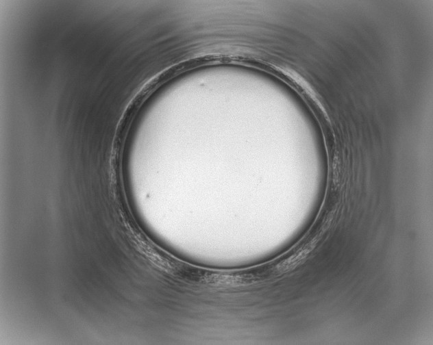 X0000072530783200608111745