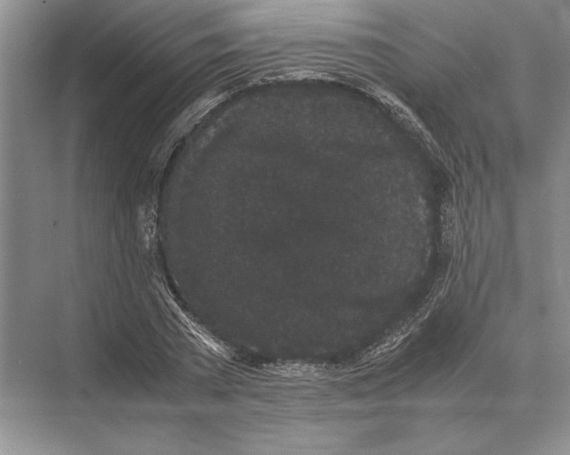 X0000072530785200608111745