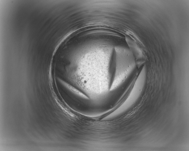 X0000072530788200608111745