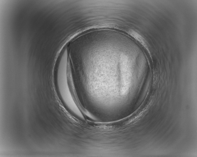 X0000072530789200608111745