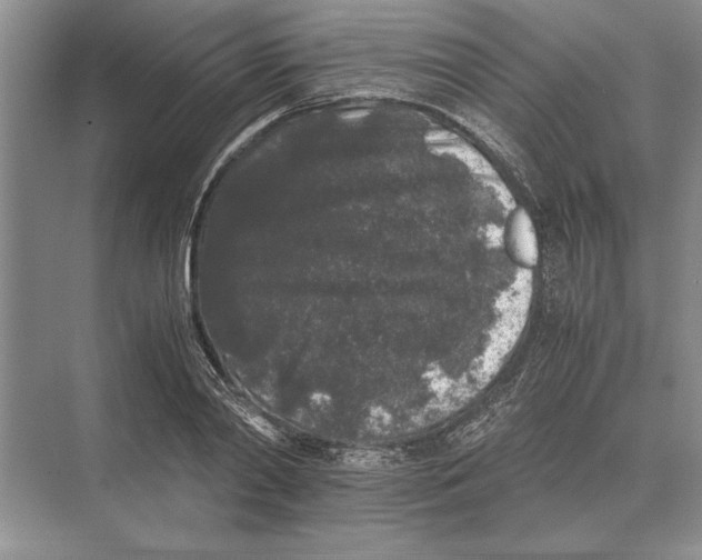 X0000072530790200608111745