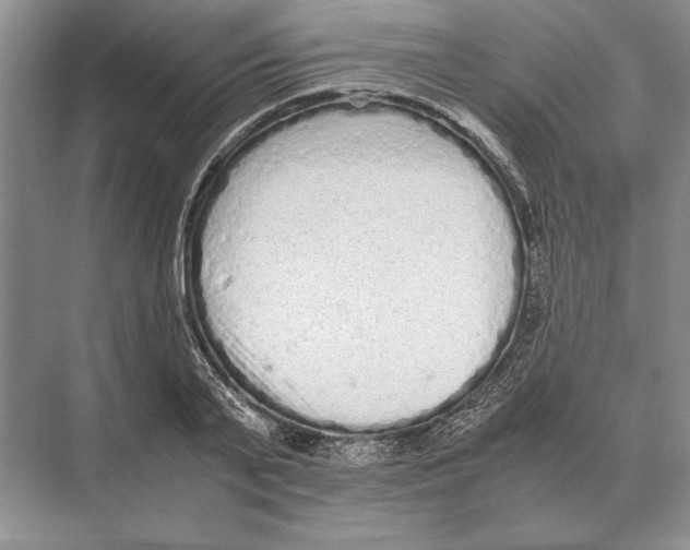 X0000072530791200608111745