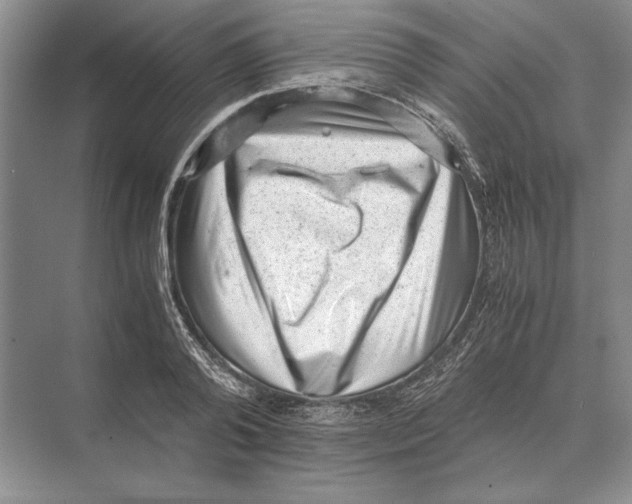 X0000072530792200608111745