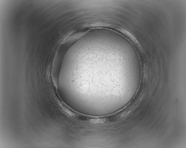 X0000072530793200608111745