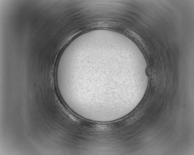 X0000072530794200608111745