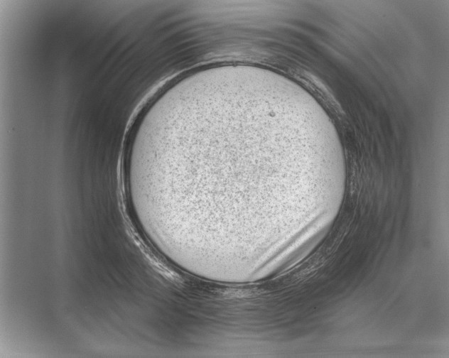 X0000072530796200608111745