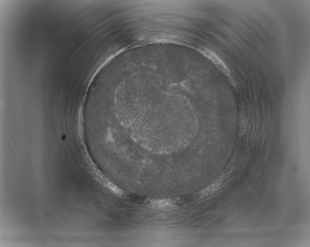 X0000072530798200608111745