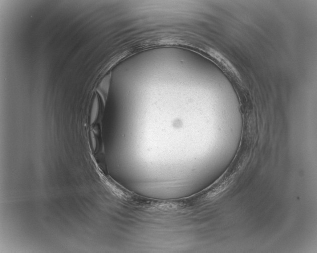 X0000072530801200608111745