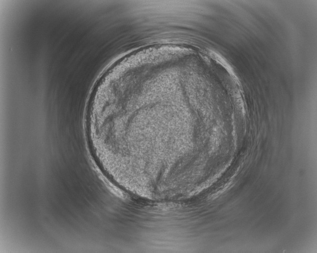 X0000072530803200608111745