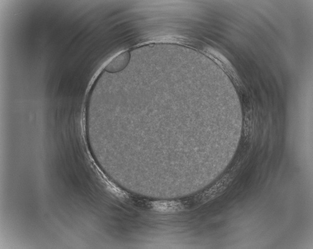 X0000072530804200608111745