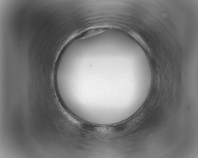 X0000072530805200608111745