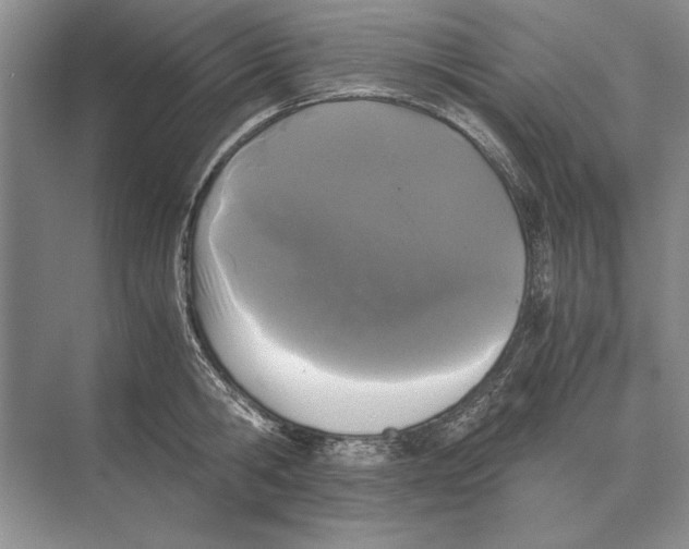 X0000072530806200608111745