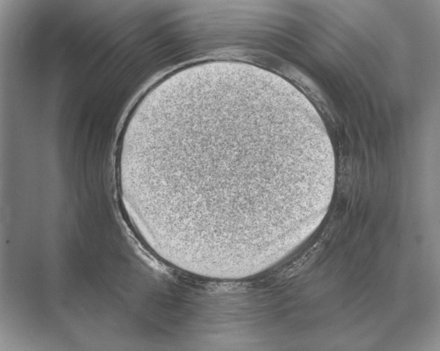 X0000072530808200608111745