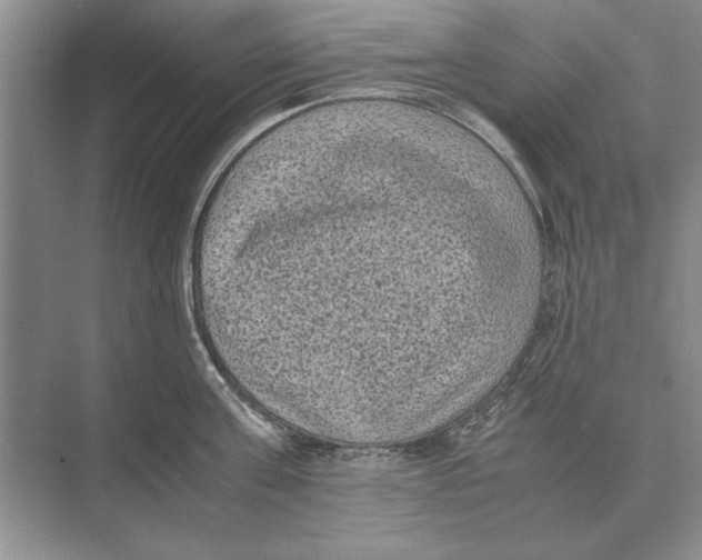 X0000072530811200608111744