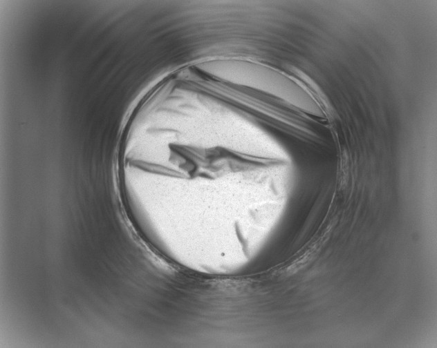 X0000072530812200608111744