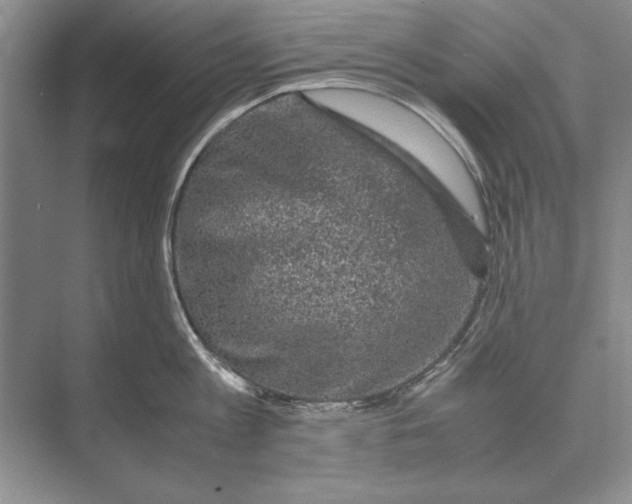 X0000072530813200608111744