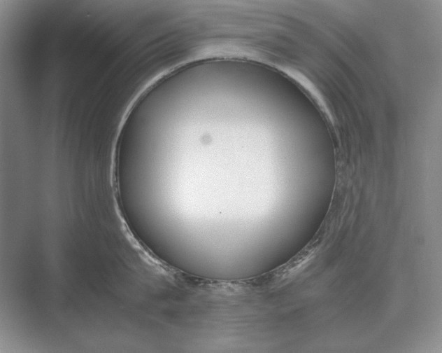 X0000072530815200608111744