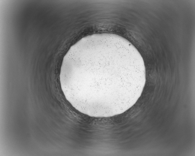 X0000072530817200608111744