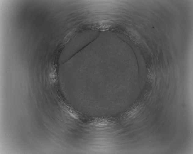 X0000072530818200608111744