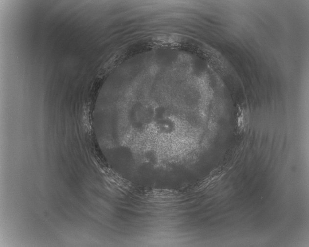 X0000072530819200608111744