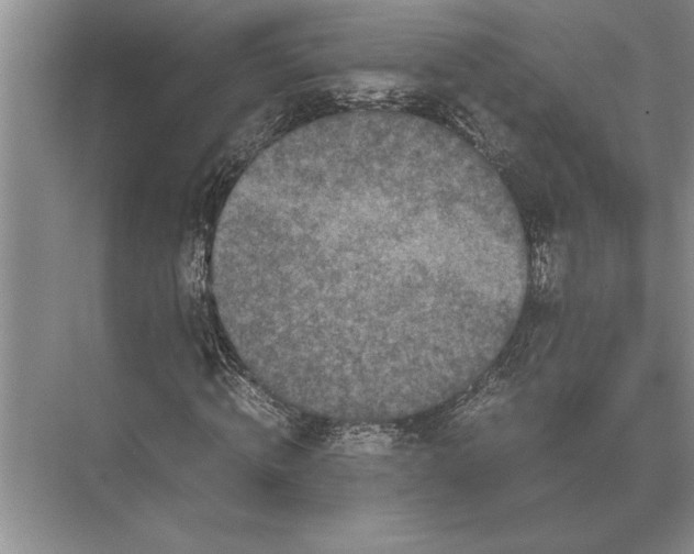 X0000072530820200608111744