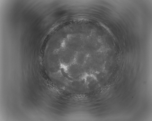 X0000072530823200608111744