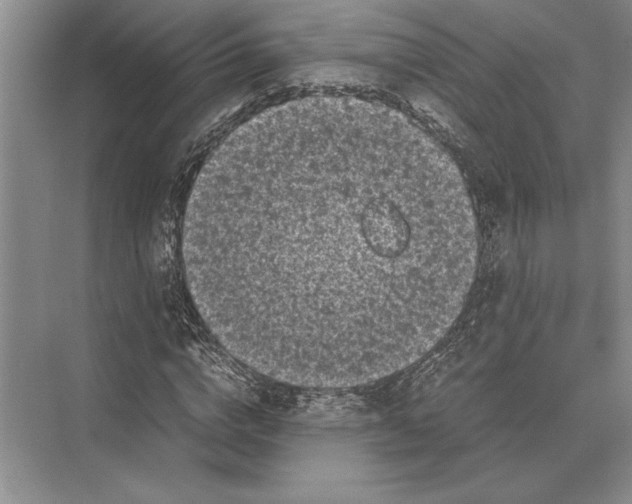 X0000072530824200608111744