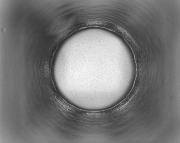 X0000072530825200608111744