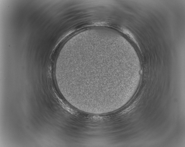 X0000072530827200608111744