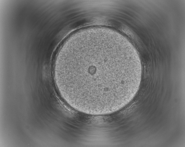 X0000072530828200608111744