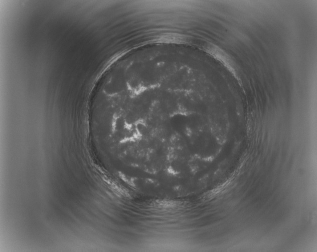 X0000072530829200608111744