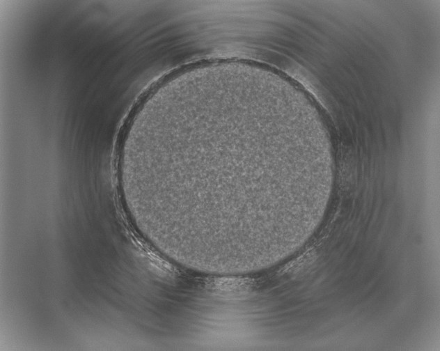 X0000072530832200608111744