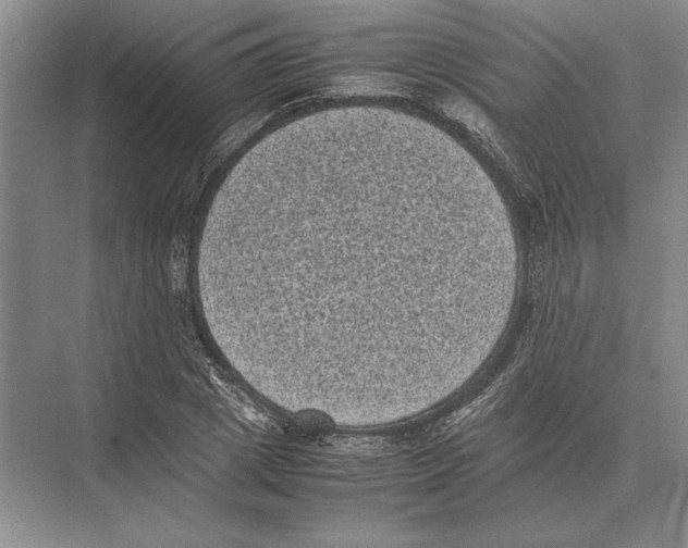 X0000072530833200608111744