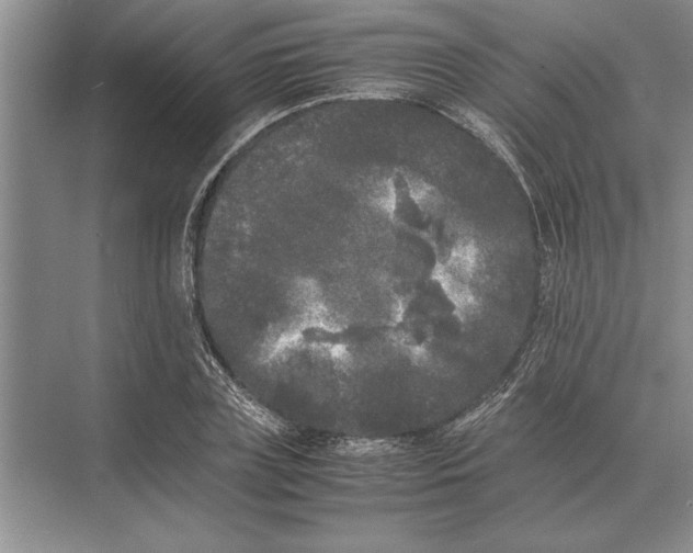 X0000072530835200608111744