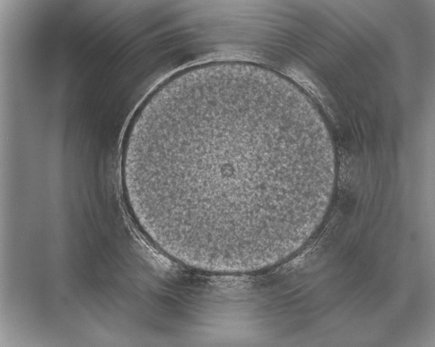 X0000072530836200608111744