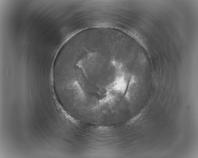 X0000072530839200608111744