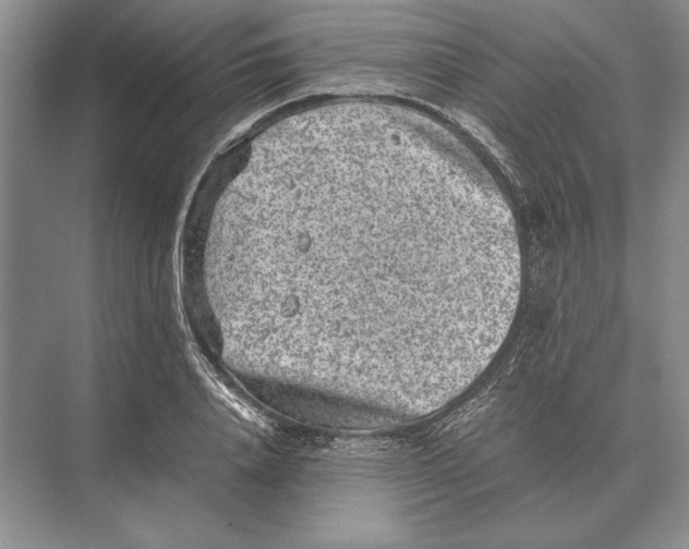 X0000072530840200608111744