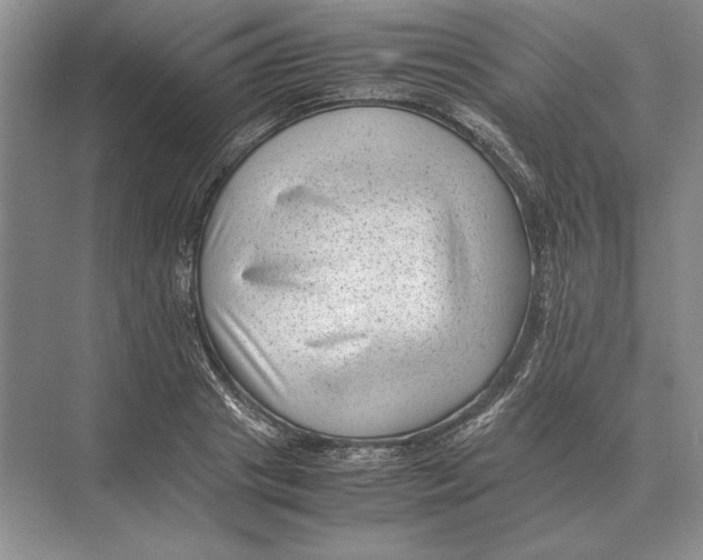 X0000072530841200608111744